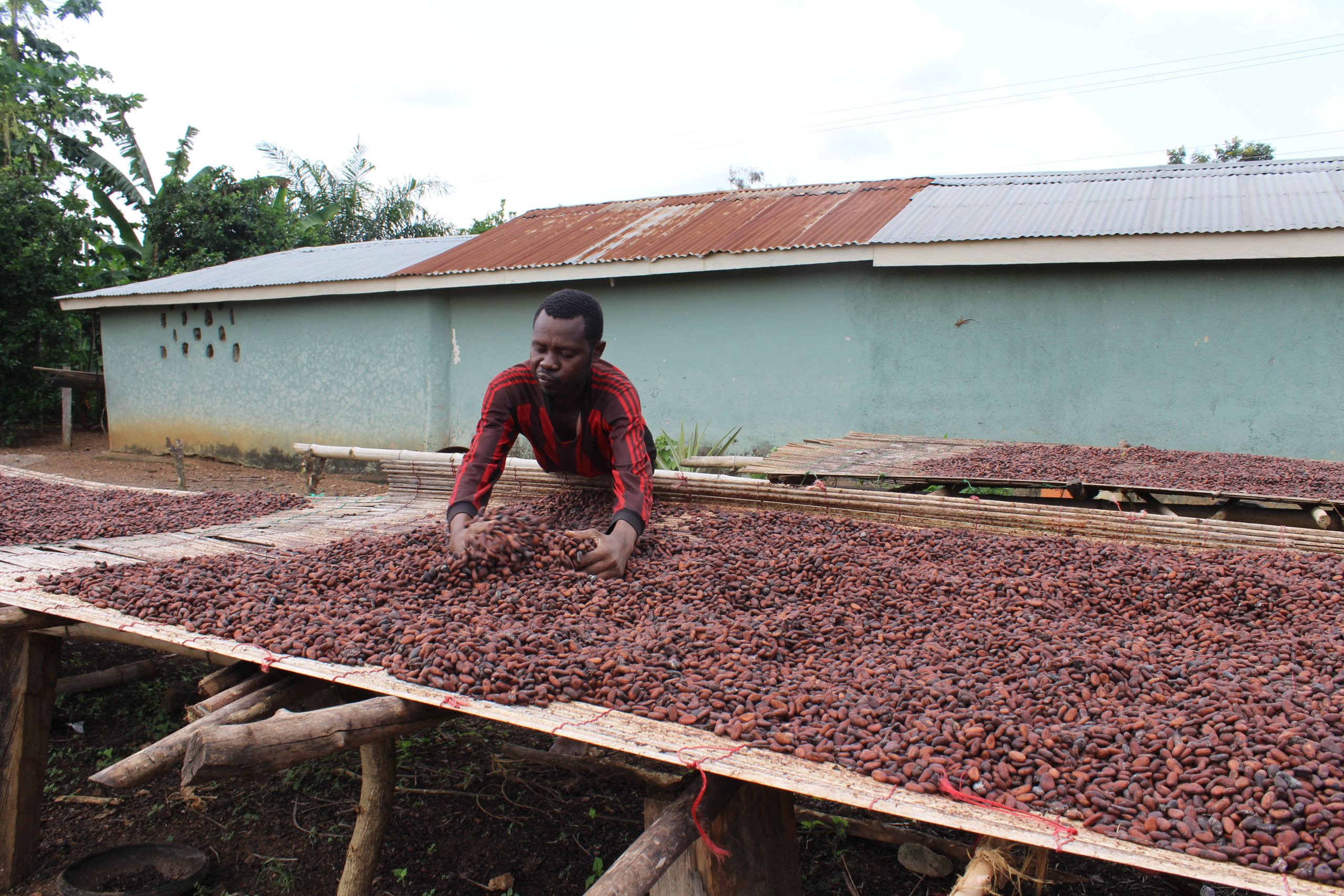 24536805375 ccb689313e o 2560x1707