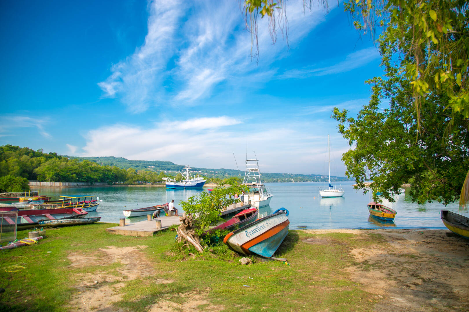 49718691241 d0c63c15da o