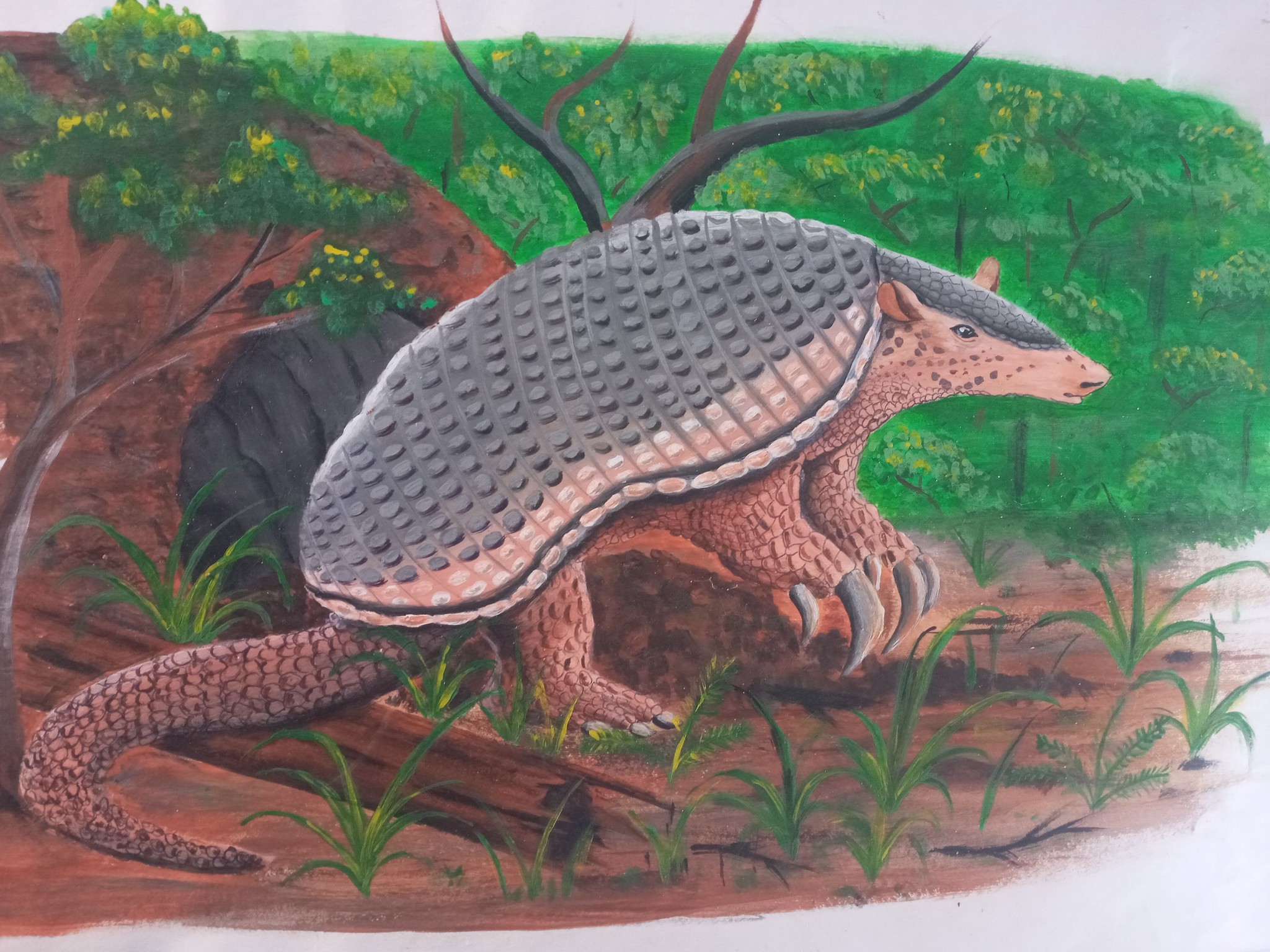 54350641702 e85f361eca k