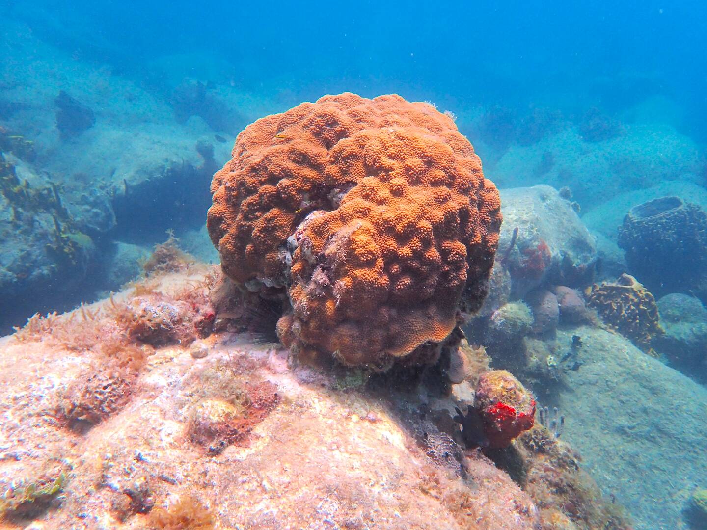 70AAEEBD A18E 4D84 AA8E 3B20131F65FA