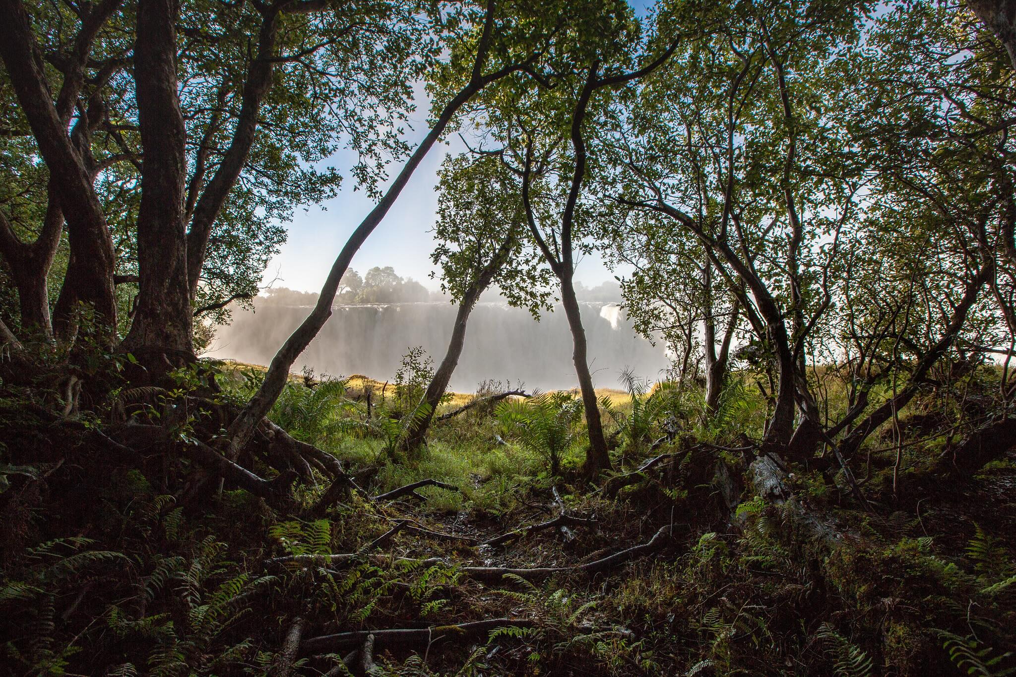 COVERZIMBABWEREDUCED