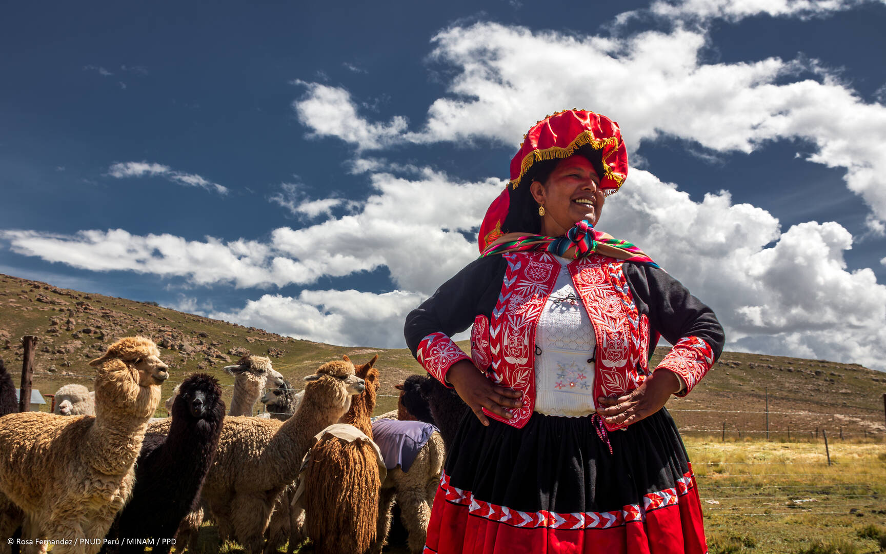 Copy of PPD Puno 2024 RF 14