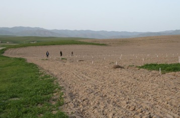 Establishing a pistachio plantation in arid foothills of Nuratau mountains. Spring 2009