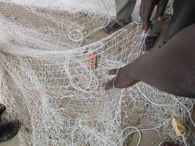 Trading Ghost Nets For Sustainable Fishing Gear Guinea Bissau