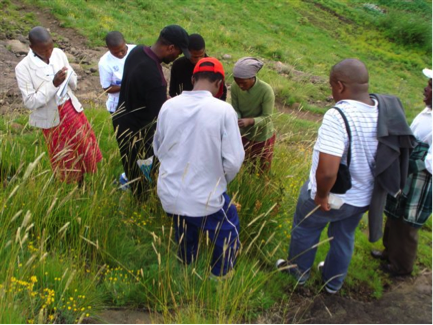 Lesotho