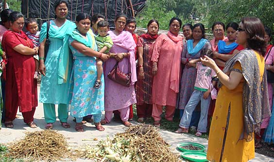 NEPAL WEPCO 