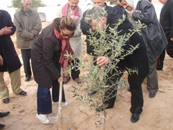 Results Based Management Training and visit to GEF SGP projects in Tunisia-2