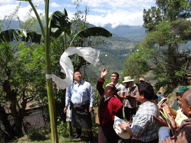 SGP COMDEKS BHUTAN 12 WEB