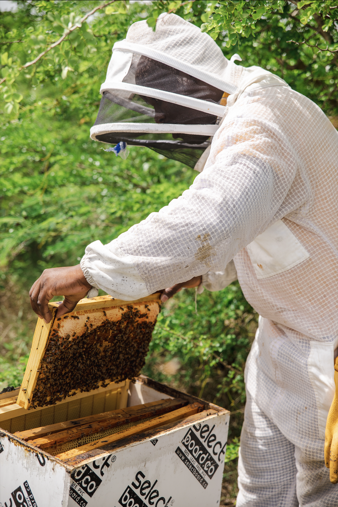 Screenshot 2024 06 21 at 10.28.33