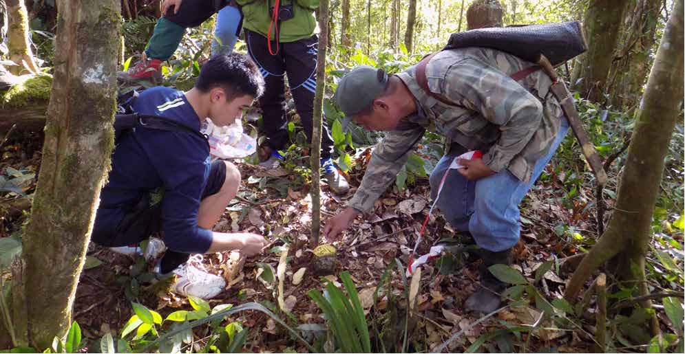Survey and marking of Traditional custody land