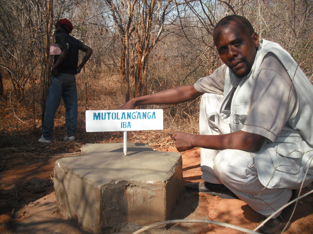 The new beacon for the extended mutulanganga IBA-1