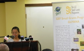 UNDP Resident Representative ag remarks