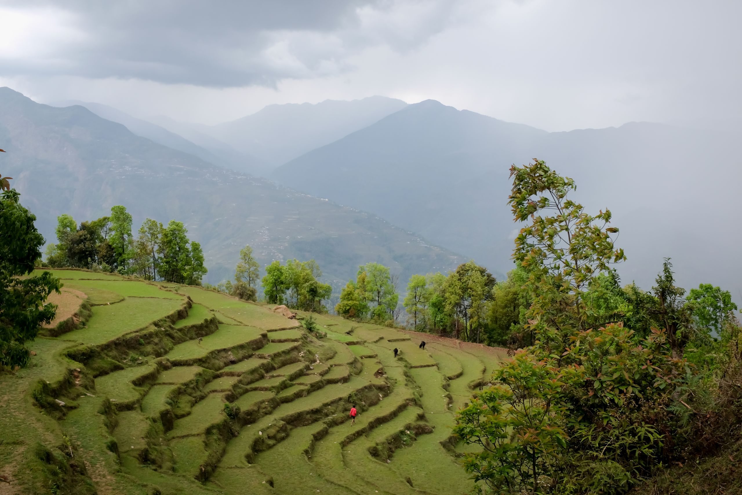 edited 1845 2560x1707