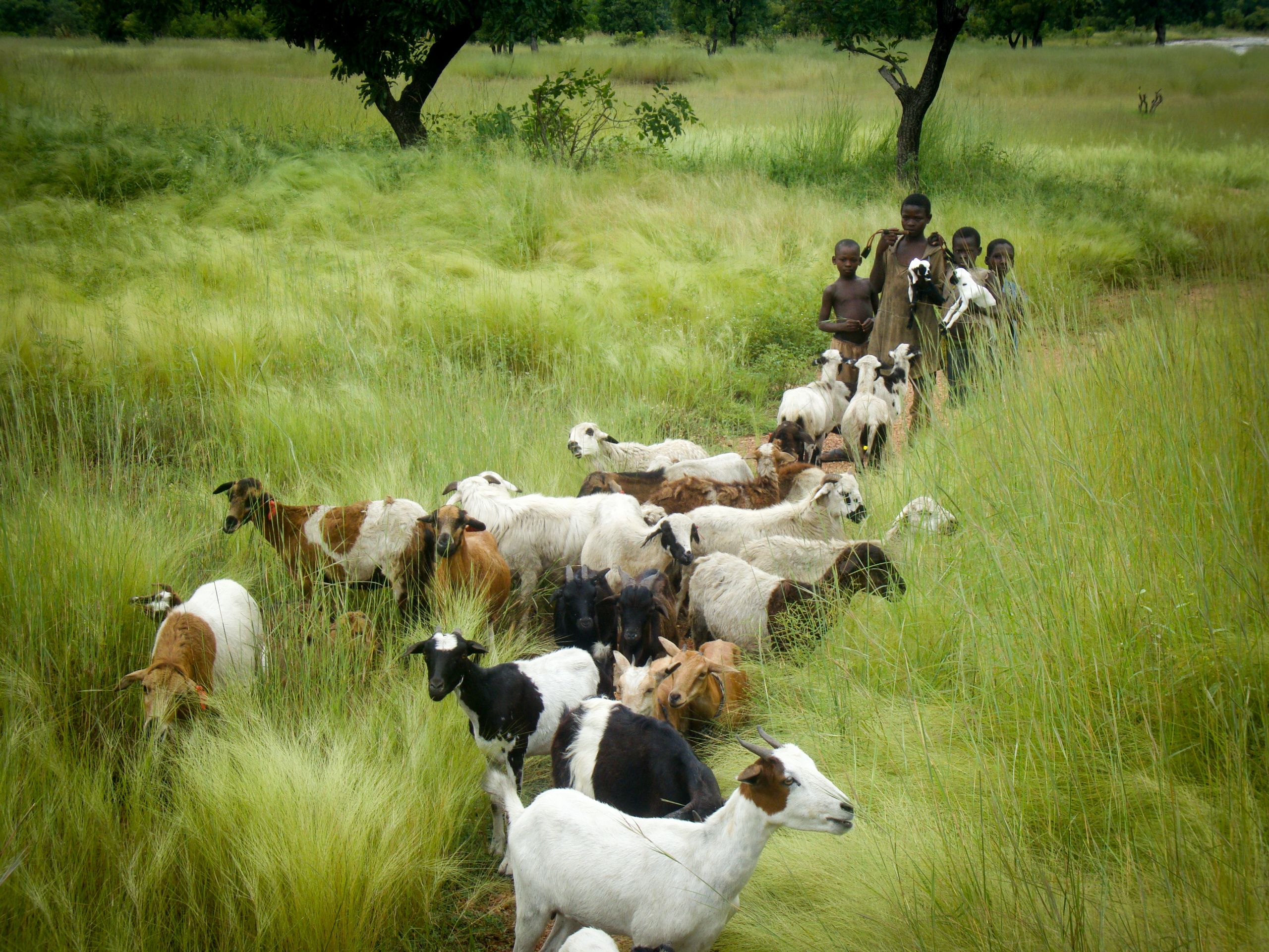 ghana sgp 10 2560x1920