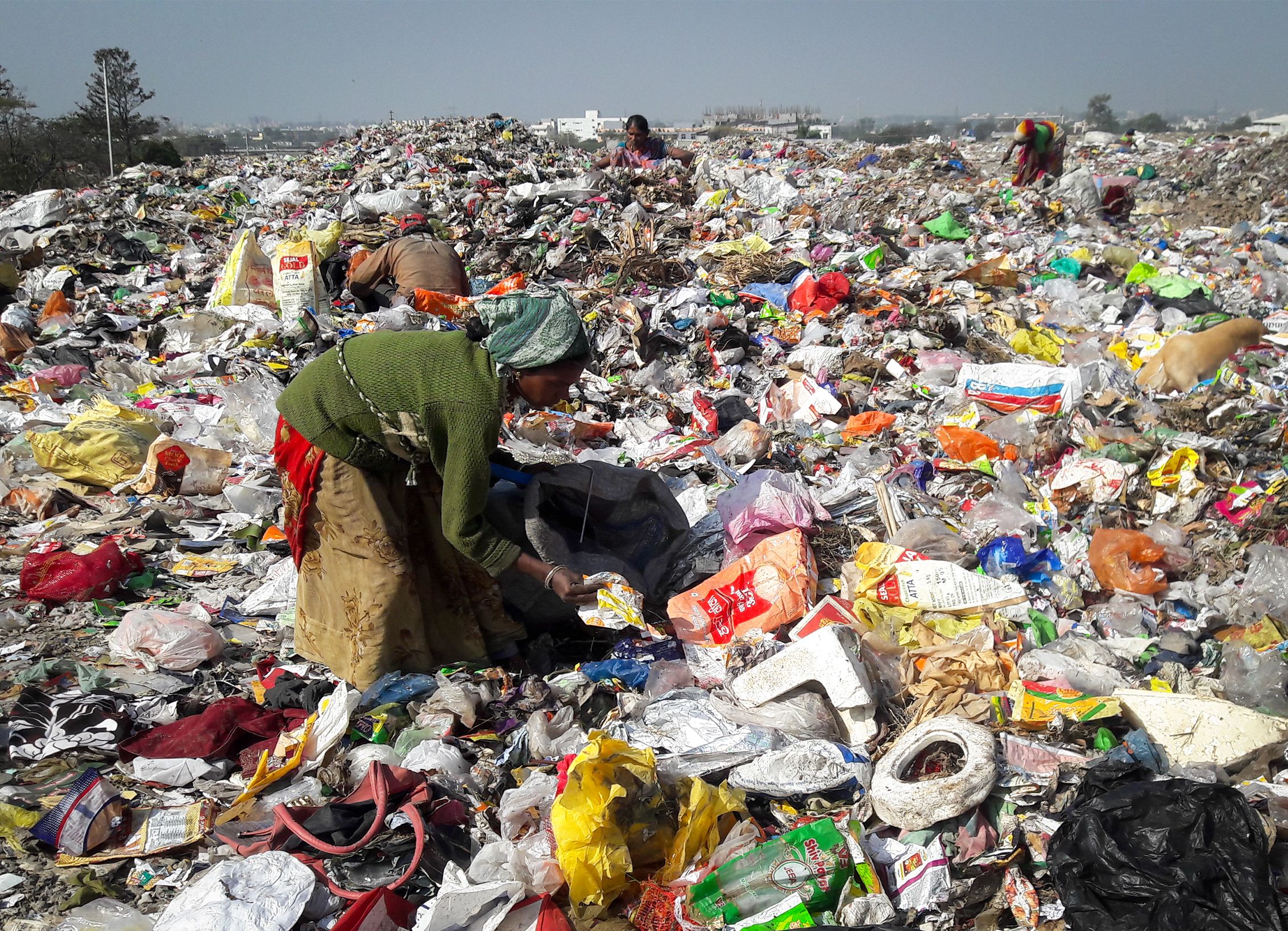 india edited 4 2265x1637