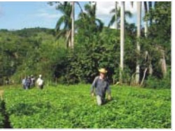 Newsletter from Cuba-BD-1
