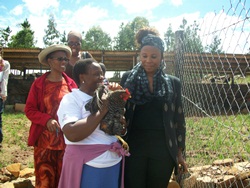 The UN Resident Coordinator Visits two SGP Projects in Lesotho BD CC-2