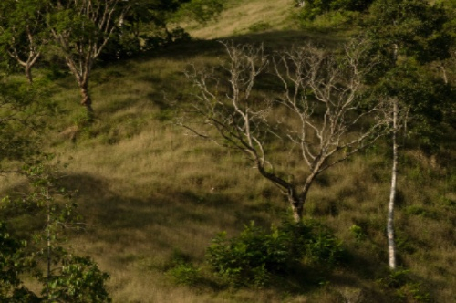 Panma April 2016