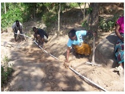 Reforestation of the Soche Mountain Forest Reserve in Malawi BD LD -7