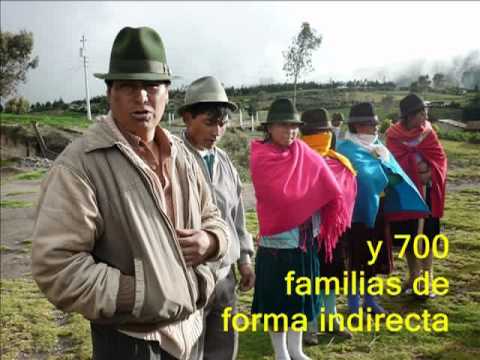 Ecuador - Maca Atapulo