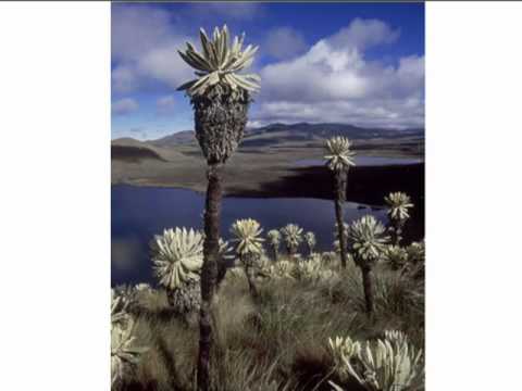 Ecuador - Proyecto Apoyo