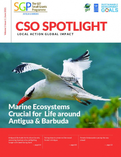 CSO Spotlight Vol 1
