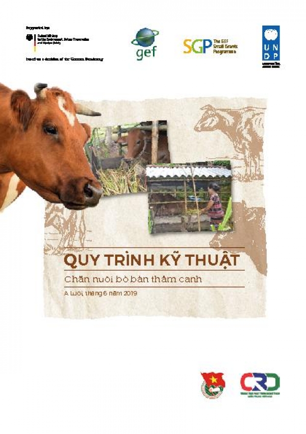 Semi-intensive cow raising manual for farmers in A Luoi District