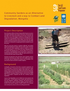 Mongolian Herders Use of Community Gardens to Combat Land Degradation