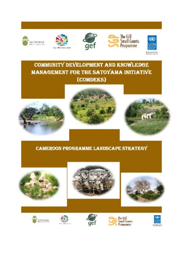 Cameroon COMDEKS country strategy