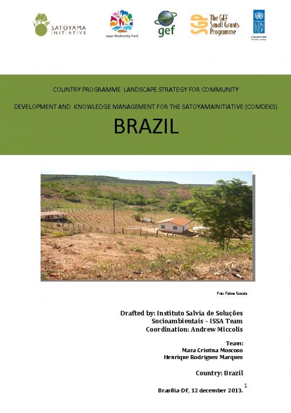 Brazil COMDEKS country strategy