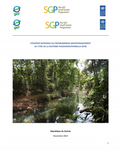 OP8 SGP Guinea Country Programme Strategy