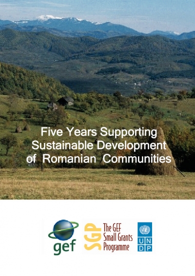 5 Year Brochure