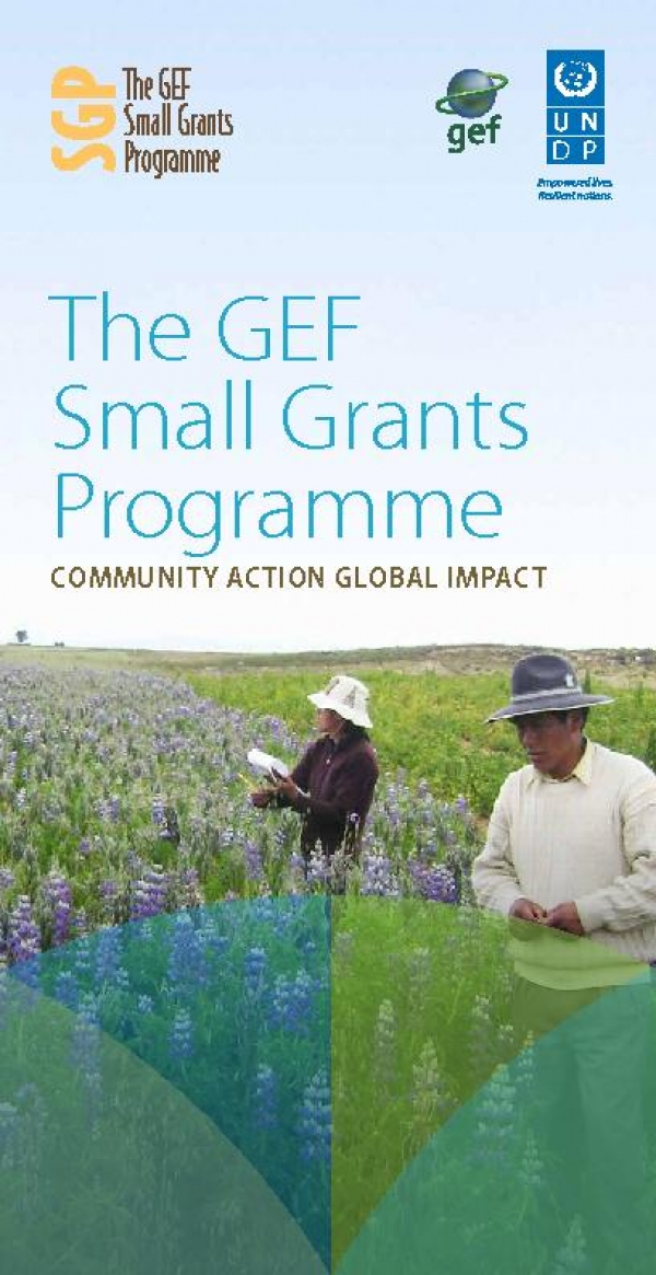 Small Grants Programme Corporate Brochure - 2015