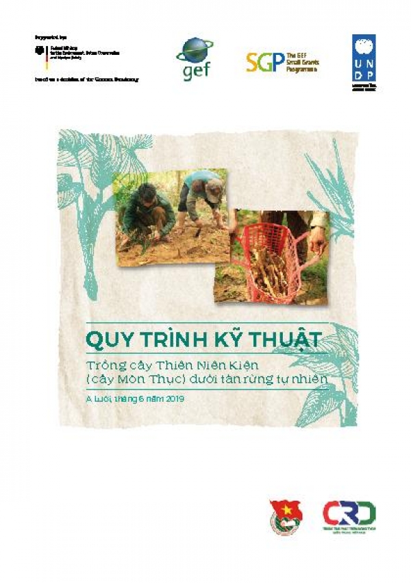 Planting of Thi&ecirc;n Ni&ecirc;n Kiện (Homalomena) Crop Manual  for farmers in A Luoi district