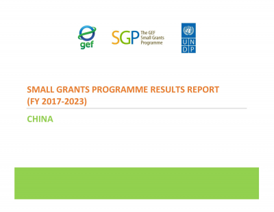 China Results Report (FY 2017-2023)