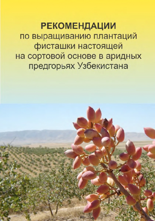 Uzbekistan -Recommendation for the establishment of the pistachio plantations