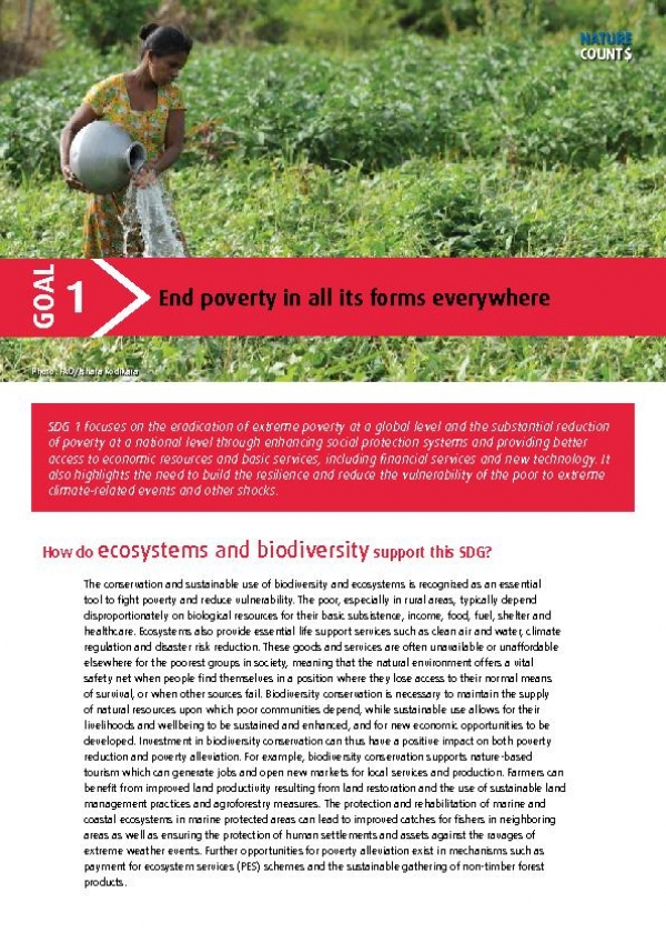 End poverty in all its forms everywhere