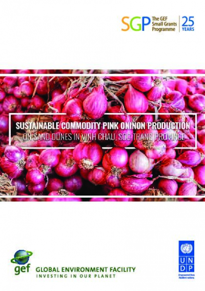 Sustainable commodity pink onion production on sand dunes in Vinh Chau, Soc Trang province.