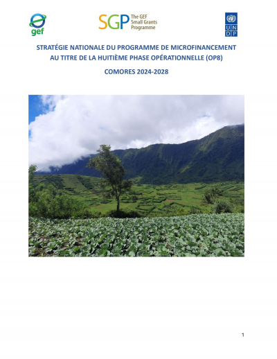 OP8 SGP Comoros Country Programme Strategy
