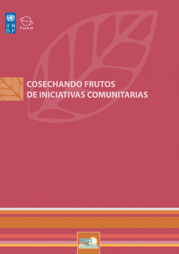 Cosechando frutos de iniciativas comunitarias