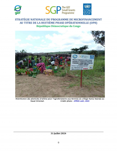 OP8 SGP R&eacute;publique D&eacute;mocratique du Congo Country Programme Strategy
