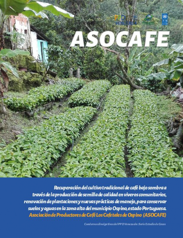 Recuperaci&oacute;n del cultivo tradicional de caf&eacute; bajo sombra a trav&eacute;s de la producci&oacute;n de semilla de calidad en viveros comunitarios, renovaci&oacute;n de plantaciones y nuevas pr&aacute;cticas de manejo, para conservar suelos y aguas en la zona alta del municipio Ospino, 