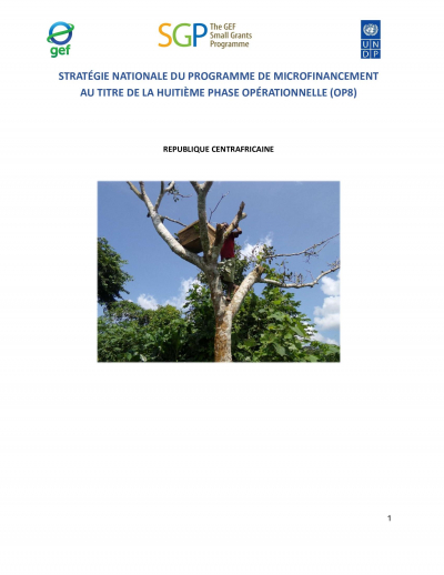 OP8 SGP Central African Republic Country Programme Strategy