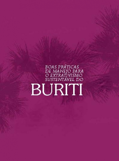 Brazil: Buriti - Good management practices for sustainable harvesting
