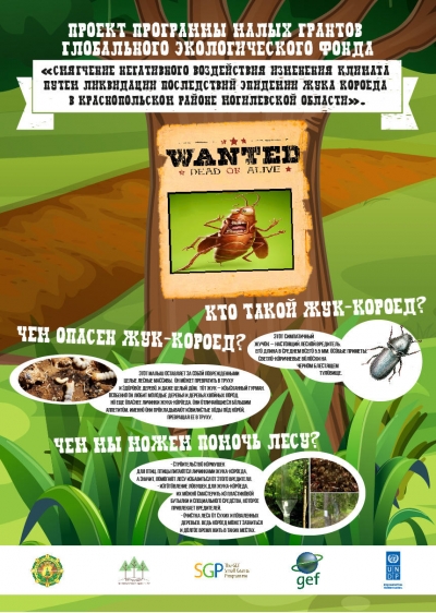 Bark-beetles, facts