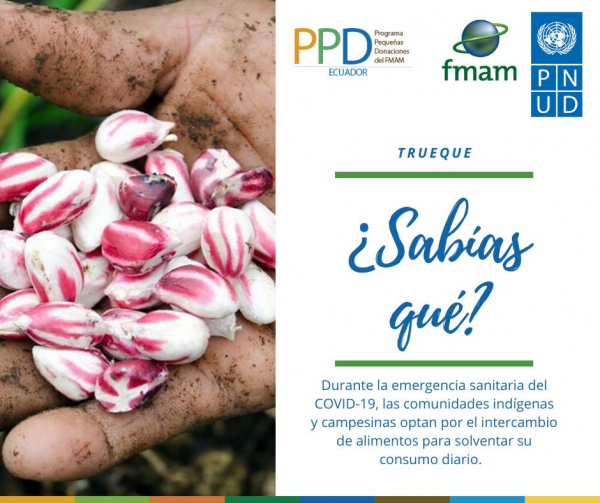Respuesta del PPD en la emergencia sanitaria