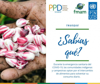 Respuesta del PPD en la emergencia sanitaria