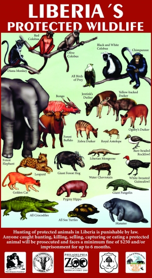 Liberia's Protected Wildlife