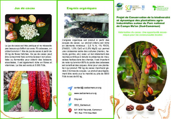 Projet de Conservation de la biodiversit&eacute; et dynamique des plantations agro- industrielles autour du Parc national de Campo Ma&rsquo;an (Sud-Cameroun)