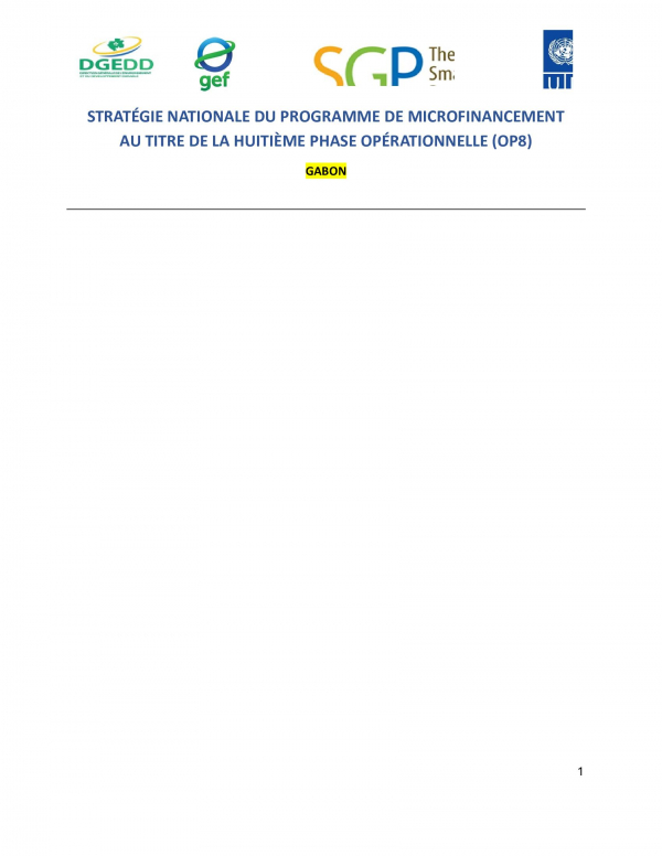 OP8 SGP Gabon Country Programme Strategy